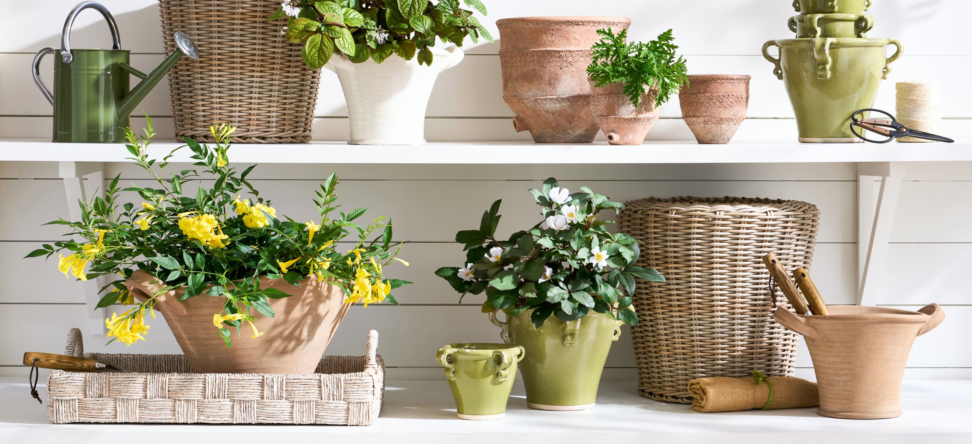 Shop Pots & Planters