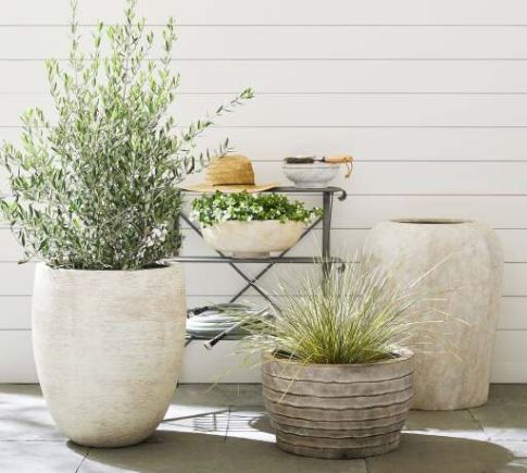 Pots &amp; Planters