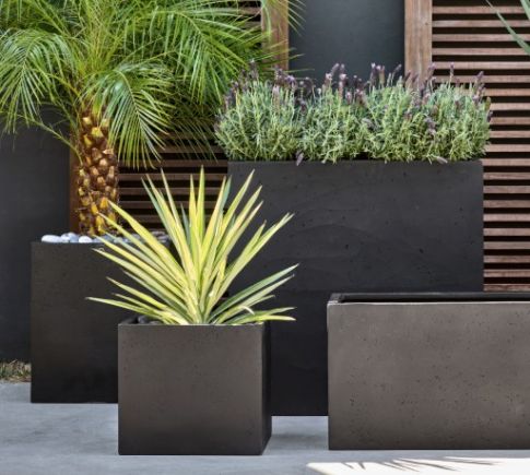 Pots &amp; Planters